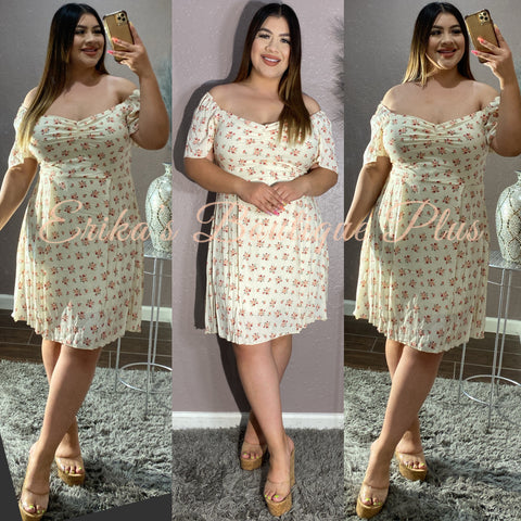 Way Too Cute Dress (ivory)